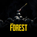 The Forest PS4