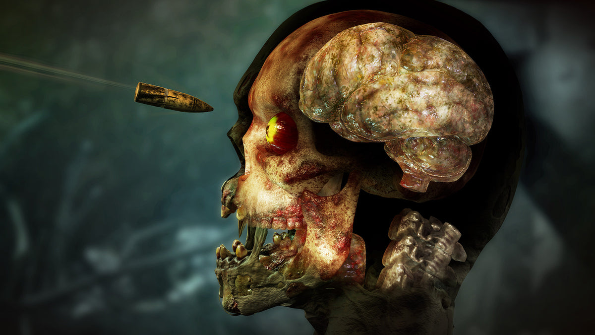 Zombie Army 4: Dead War PS5 - captura de gameplay 1