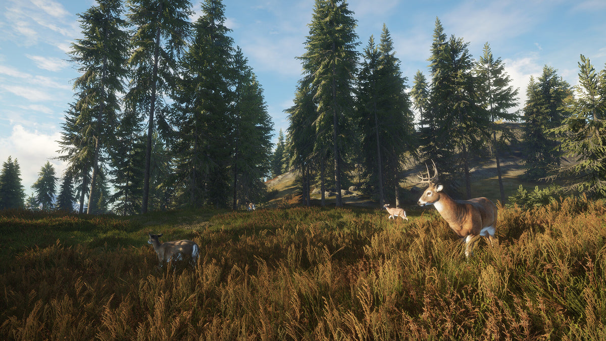 TheHunter: Call of the Wild PS5 - captura de gameplay 4