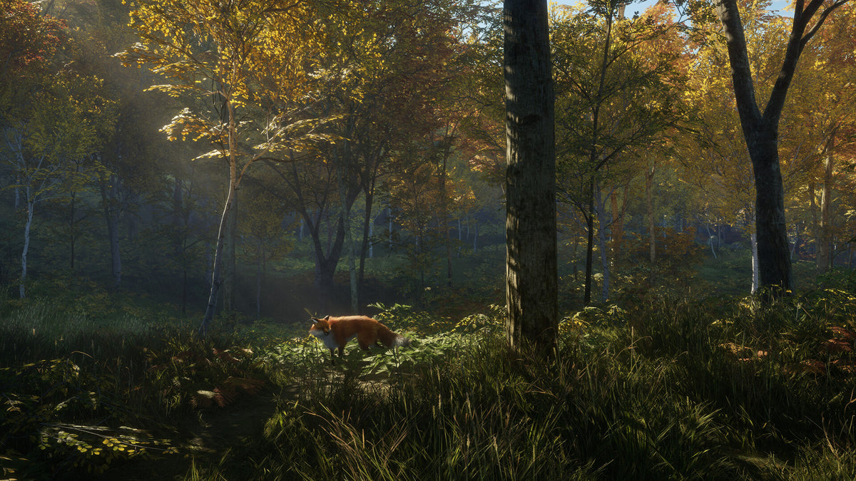 theHunter: Call of the Wild PS4 - captura de gameplay 2