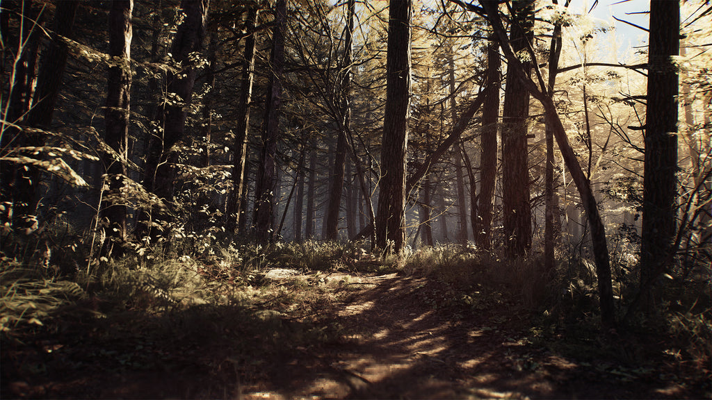 Blair Witch PS4 - captura de gameplay 4
