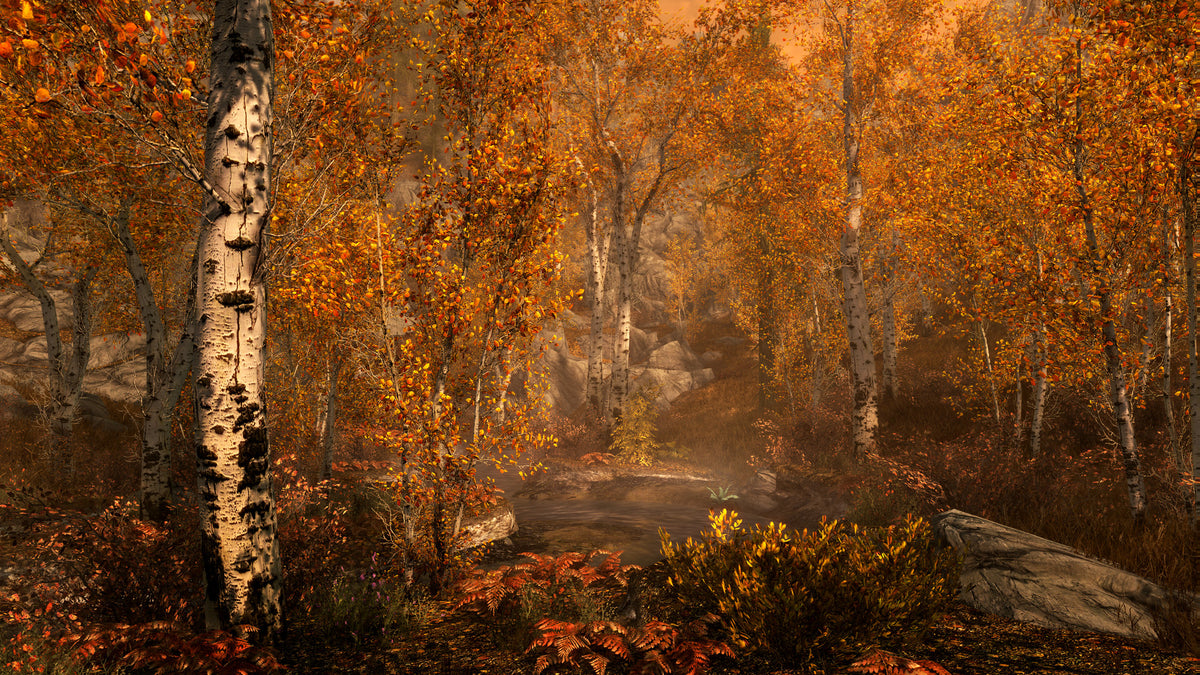 The Elder Scrolls V: Skyrim Special Edition PS4 - captura de gameplay 3