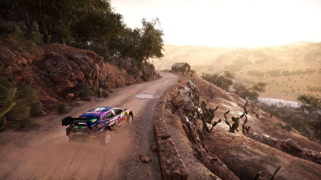 WRC Generations PS5 - captura de gameplay 1
