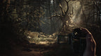 Blair Witch PS4 - captura de gameplay 1