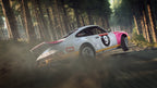 DiRT Rally 2.0 PS4 - captura de gameplay 1