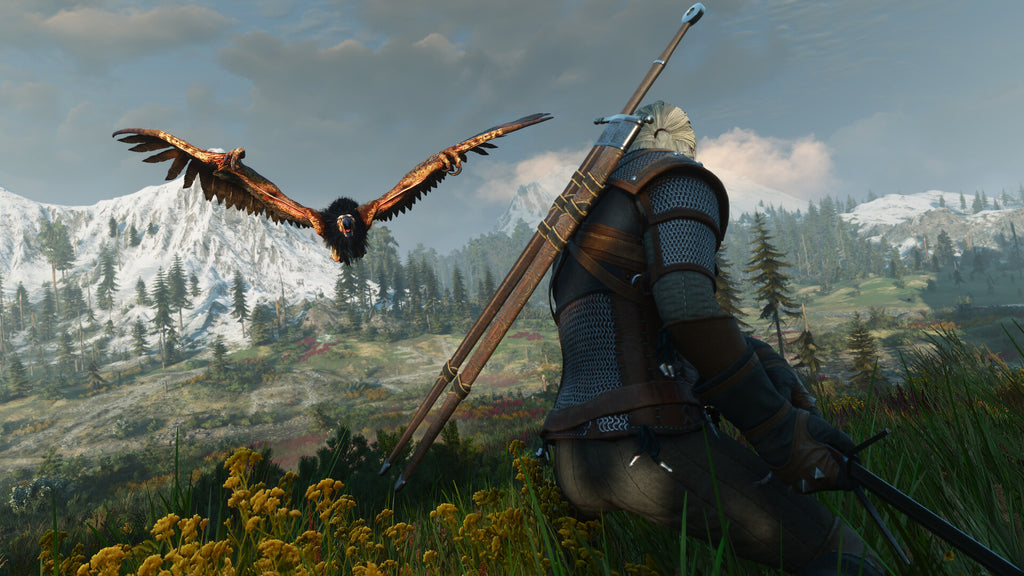 The Witcher 3: Wild Hunt PS4 - captura de gameplay 1