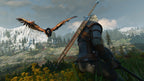 The Witcher 3: Wild Hunt PS4 - captura de gameplay 1